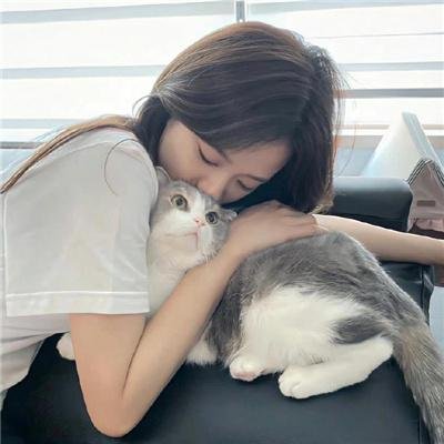 滑稽六人组